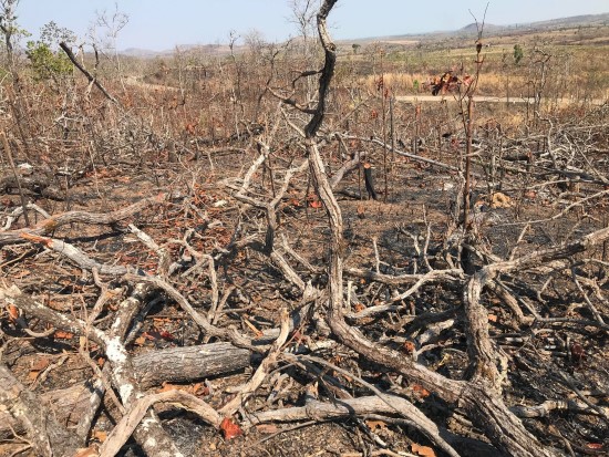 Buôn Đôn&#x3A; Kiểm sát khám nghiệm hiện trường 4,6 ha rừng bị hủy hoại
