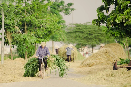 Trở lại ngày xưa
